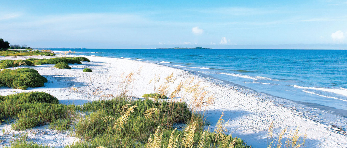 BCA in Saint Petersburg, Florida