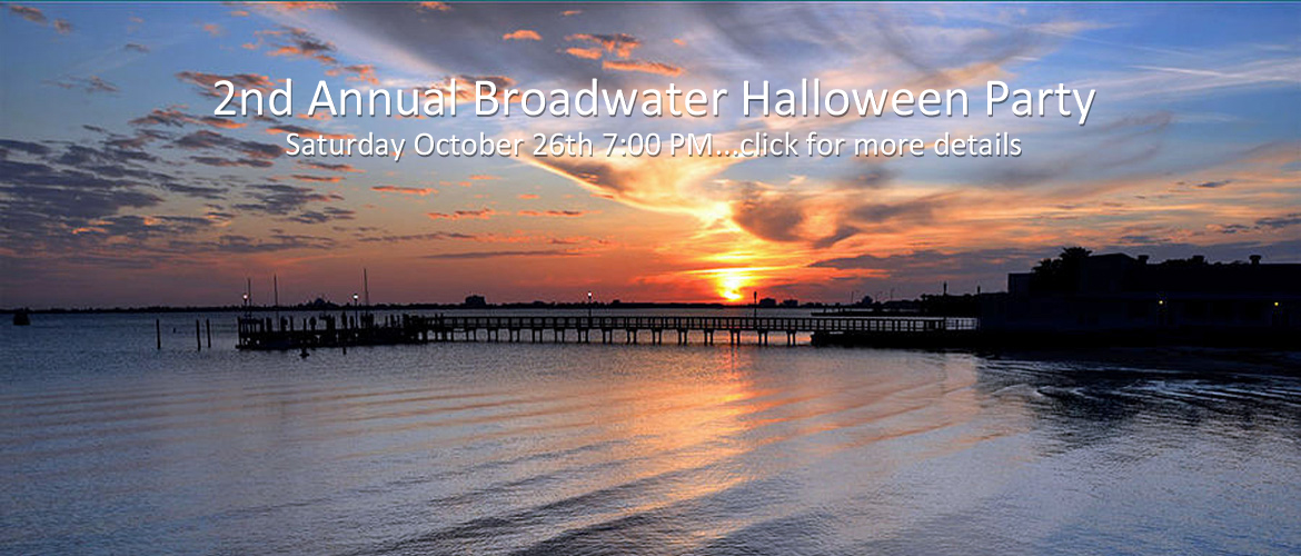 BCA in Saint Petersburg, Florida