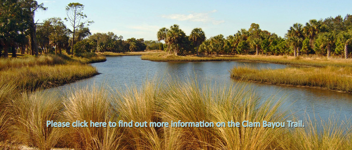 Clam Bayou Trail in Saint Petersburg, Florida