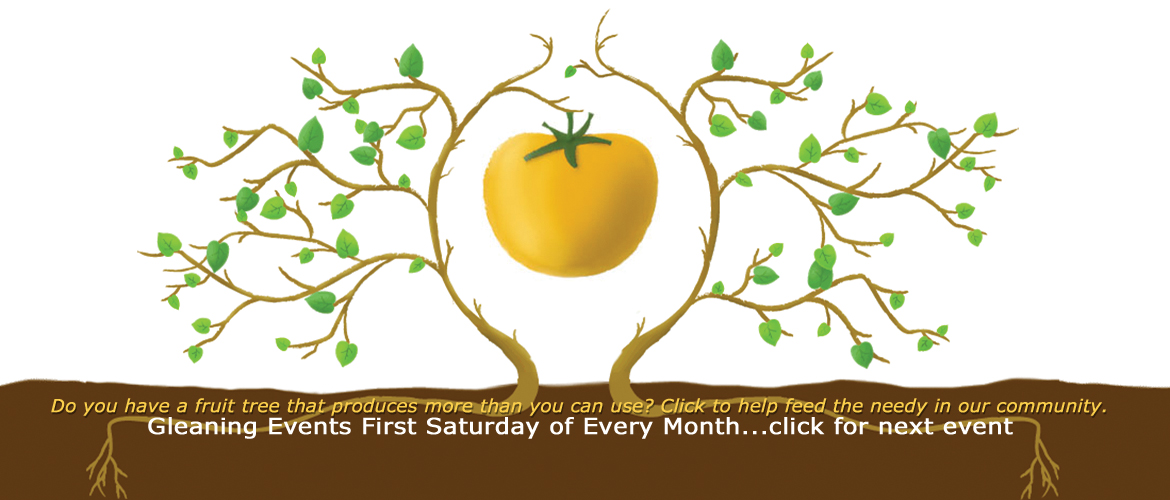 St Pete Abundance